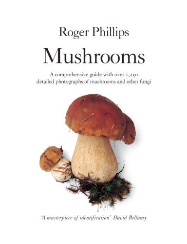 Read Online Mushrooms A Comprehensive Guide To Mushroom Identification By Roger Phillips