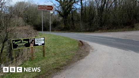 Music festival approved despite noise fears - BBC News