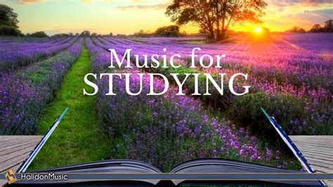 Music for studying youtube. Things To Know About Music for studying youtube. 