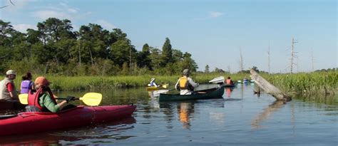 Muskee Creek - CU Maurice River