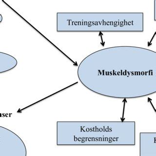 Muskeldysmorfi &ndash; Wikipedia