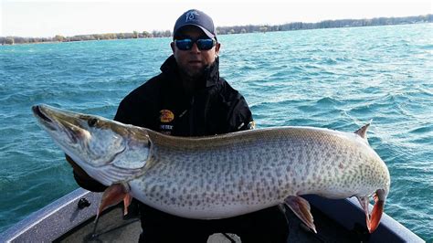 Muskie Fishing Guides & Trips In Michigan