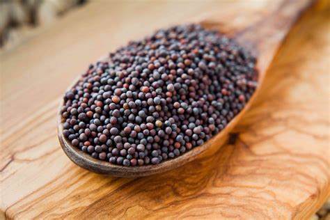 Mustard seeds. There are so many types of mustard because there are so may ways to make it, unlike its sweet counterpart, ketchup. There are three basic types of mustard seeds: yellow, brown, and black. Each kind of mustard is made from a certain ratio of the basic types of seeds. Also, mustard isn't tangy, bitter, or hot … 