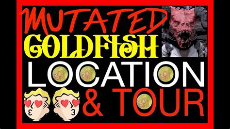 Mutated goldfish fallout 76. 0:00 / 3:50 MUTATED GOLDFISH TOUR & LOCATION Fallout 76 How to get the plan & build FO76 Fallout 76 Deathclaw Girl Starfield Fallout TV FO4 4.74K subscribers Subscribe 1K views... 