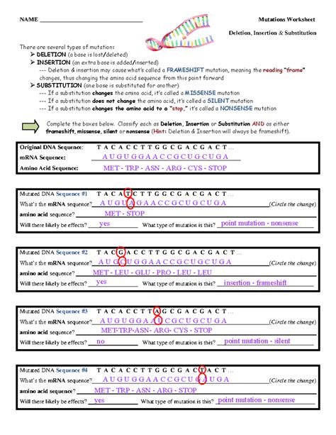 Mutation Genetic Answers Worksheet