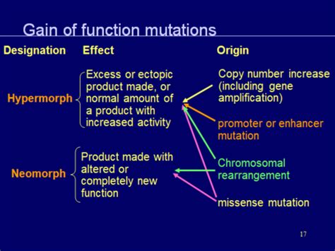 Mutations, Loss of Function, Gain of Function Flashcards