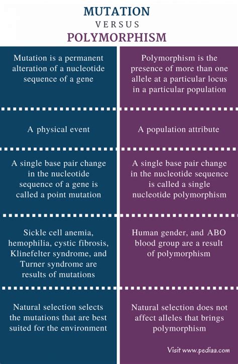 Mutations and Polymorphisms: What Is The Difference?