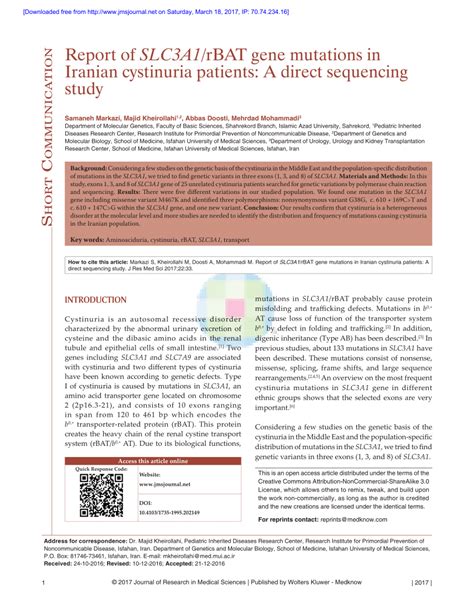 Mutations in the SLC3A1 gene in cystinuric patients ... - PubMed