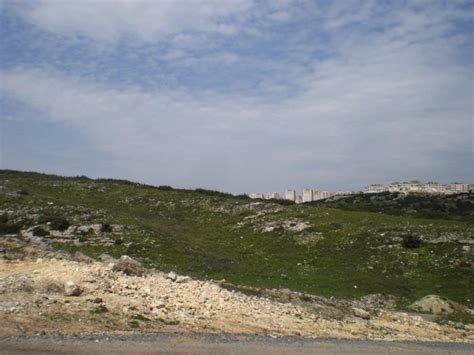 Mutfakcilar Halı ve Koltuk Yıkama