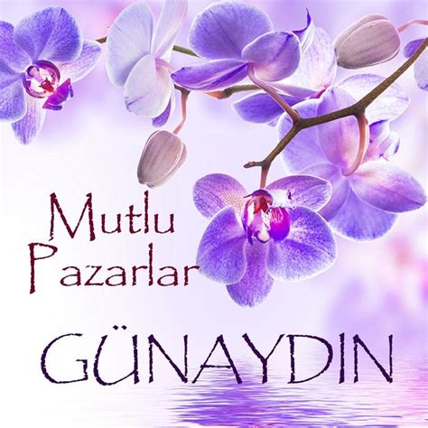 Mutlu pazarlar #babyroom #nursery #nurseryroom Pinterest. 