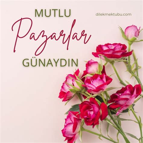 Mutlu pazarlar _________________________ Online alışveriş . 