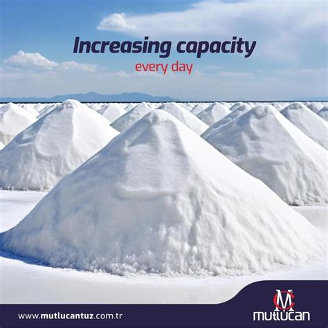 Mutlucan Halı ve Koltuk Yıkama