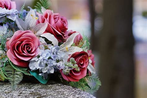 Mutts willoughby funeral home.  With a commitment to providing professional care and Mut...
