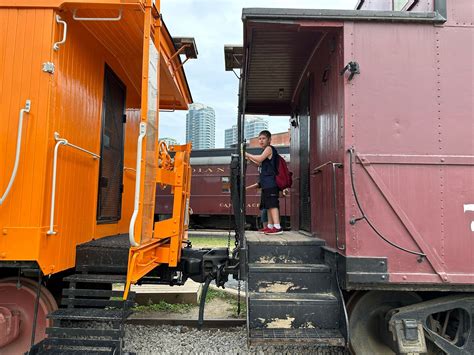 Muyesseroglu Halı ve Koltuk Yıkama