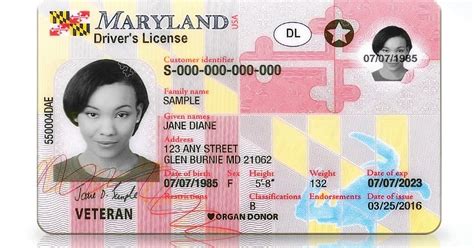 Mva provisional license. Things To Know About Mva provisional license. 