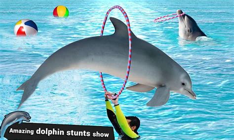 My Dolphin Show APK for Android Download.