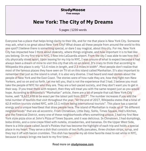 My Dream City Essay In English Help with essays