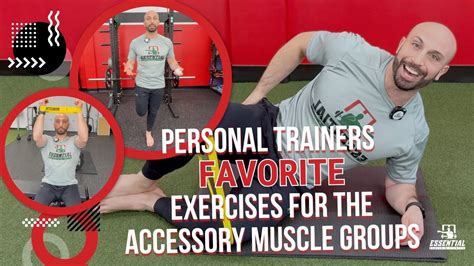My Favorite Exercises Muscle by Muscle