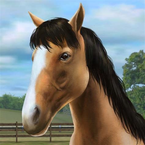 My Horse Review 148Apps