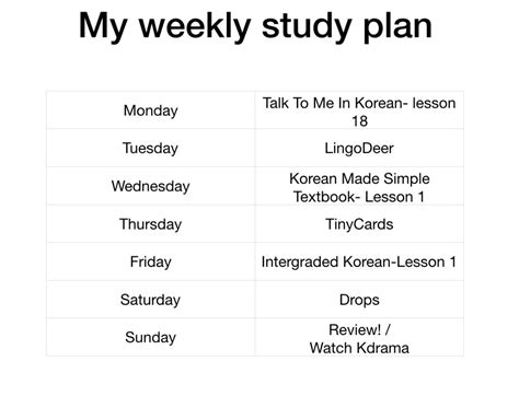 My Korean Lesson 야동
