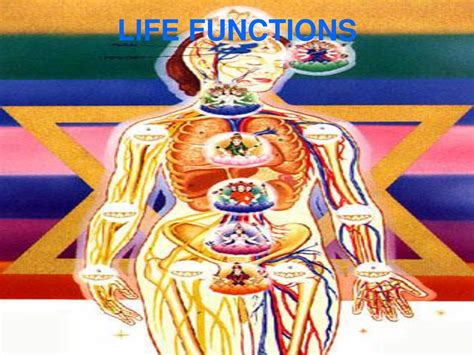 My Life And Functions