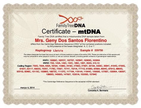 My Mother mtDNA Haplogroup L2a1c1 MY GENEALOGY …