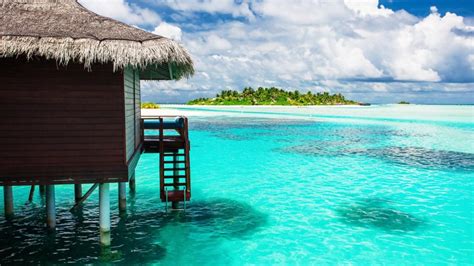 My Prisma Chart Login