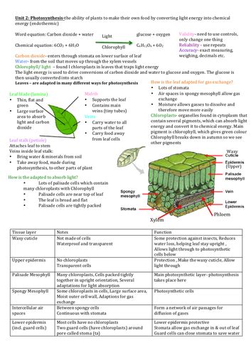 My Revision Notes Ccea Gcse Biology