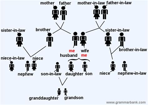 your relatives - Article page with synonyms and phrases | Cambridge English Thesaurus . 