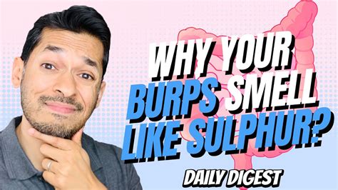My burps smell like farts. Things To Know About My burps smell like farts. 