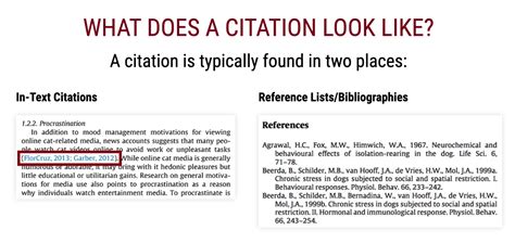 Scribbr offers two services to help you perfect your citations: citation experts who correct your references and in-text citations, and an AI-based citation checker for APA. Compare …. 