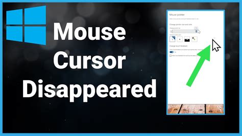 My cursor disappeared. 2. If you are using a wireless mouse, you need to make sure that the battery is OK. Disconnect and disconnect the mouse to check whether the mouse pointer appears. 3. Go to Control Panel > Mouse > Pointer Options and uncheck Hide pointer while typing. Then, you can go to see whether the mouse cursor appears. 4. 