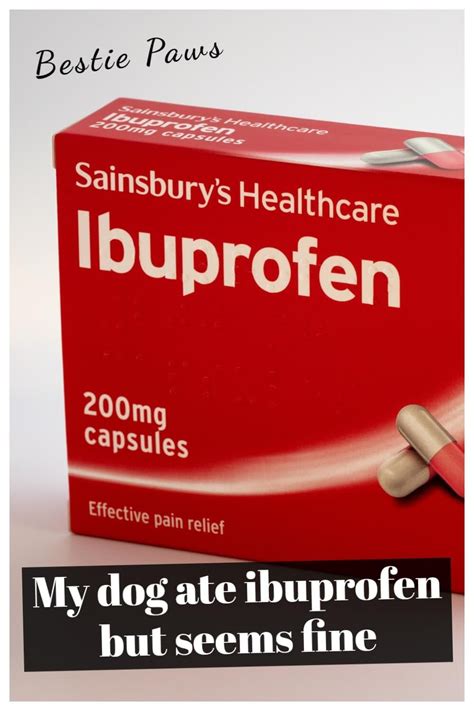 My dog ate ibuprofen and is fine. While Ibuprofen is not used much in dogs these days it is still sometimes prescribed by vets, where this is done a typical dose rate would be up to 4 mg per pound of the dog's body weight meaning a top dose of { 61 pounds X 4 mg } = 244 mg in your dog's case. 