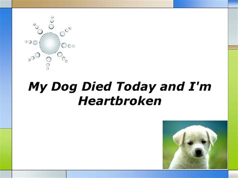 My dog died. Losing a dog can be agonizing, as dogs are often viewed not just as pets but as part of the family. That explains why you feel like a part of you died when your dog died. Dogs provide emotional and physical support. Therefore, when they are gone, it may feel as though you have lost someone extremely close to you. 