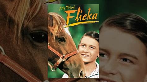 My friend flicka (1956) YouTube.