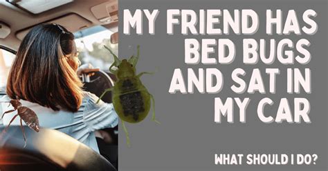 My friend has bed bugs and sat in my car. 2. Carefully inspect your car “My friend has bed bugs and sat in my car,” that’s OK. Check your car interior right away for any symptoms of bed bugs. Keep an eye … 