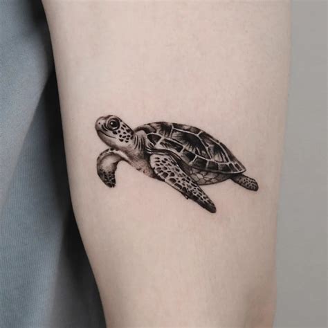 My new sea turtle tattoo!!! Finally!! r/turtle