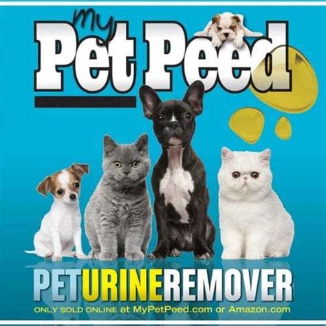 6 active coupon codes for My Pet Peed in May 2024. Save with MyPetPeed.com discount codes. Get 30% off, 50% off, $25 off, free shipping and cash back rewards at MyPetPeed.com. ... Get up to 20% Off My Pet Peed at Walmart (Free Next-Day Shipping on Eligible Orders $35+) View at Walmart 469 uses. 20% Off. My Pet Peed + Macy's: Get up to .... 