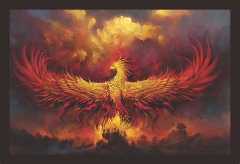 My phoenix. Things To Know About My phoenix. 