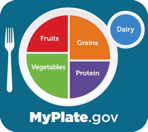 My plate .gov. As the MyPlate icon shows, the five food groups are Fruits, Vegetables, Grains, Protein Foods, and Dairy. The 2015-2020 Dietary Guidelines for Americans emphasizes the importance of an overall healthy eating pattern with all five groups as key building blocks, plus oils. (While oils are not a food group, they … 
