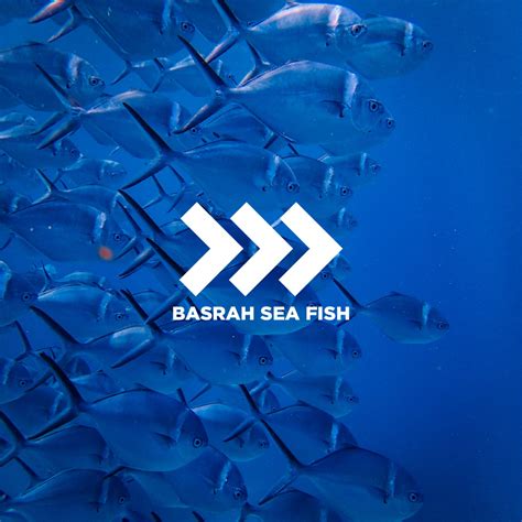My project in Logo Design From Concept to Presentation course Domestika
