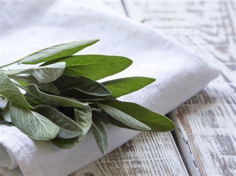 My sage spice. Things To Know About My sage spice. 
