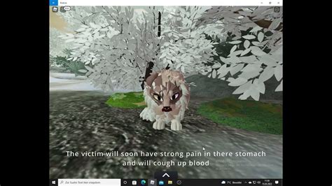 My warrior cats Illness-wcue - YouTube