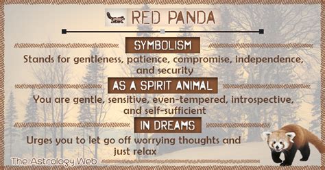Download My Spirit Animal Red Panda Journal By Not A Book