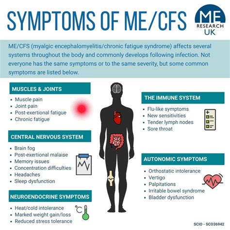 Myalgic Encephalomyelitis Symptoms & Diagnosis - YourDisease