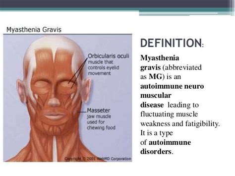 Myasthenia definition of myasthenia by Medical dictionary