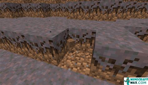 Mycelium in Minecraft