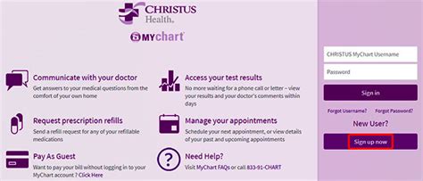 Access OneChart Request Access to OneChart Login to OneChart (existing users) Mobile OneChart Access Options Tip sheets available for setting up your Epic mobile devices are found on eLounge under "Technology" via the TMC Connect portal.. 