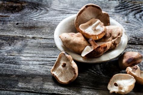 MycoTechnology unveils PureTaste mushroom protein at SSW