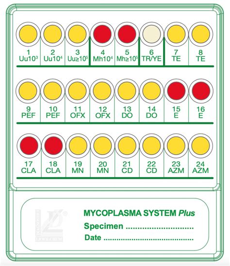 Mycoplasma System Plus EWC Diagnostics